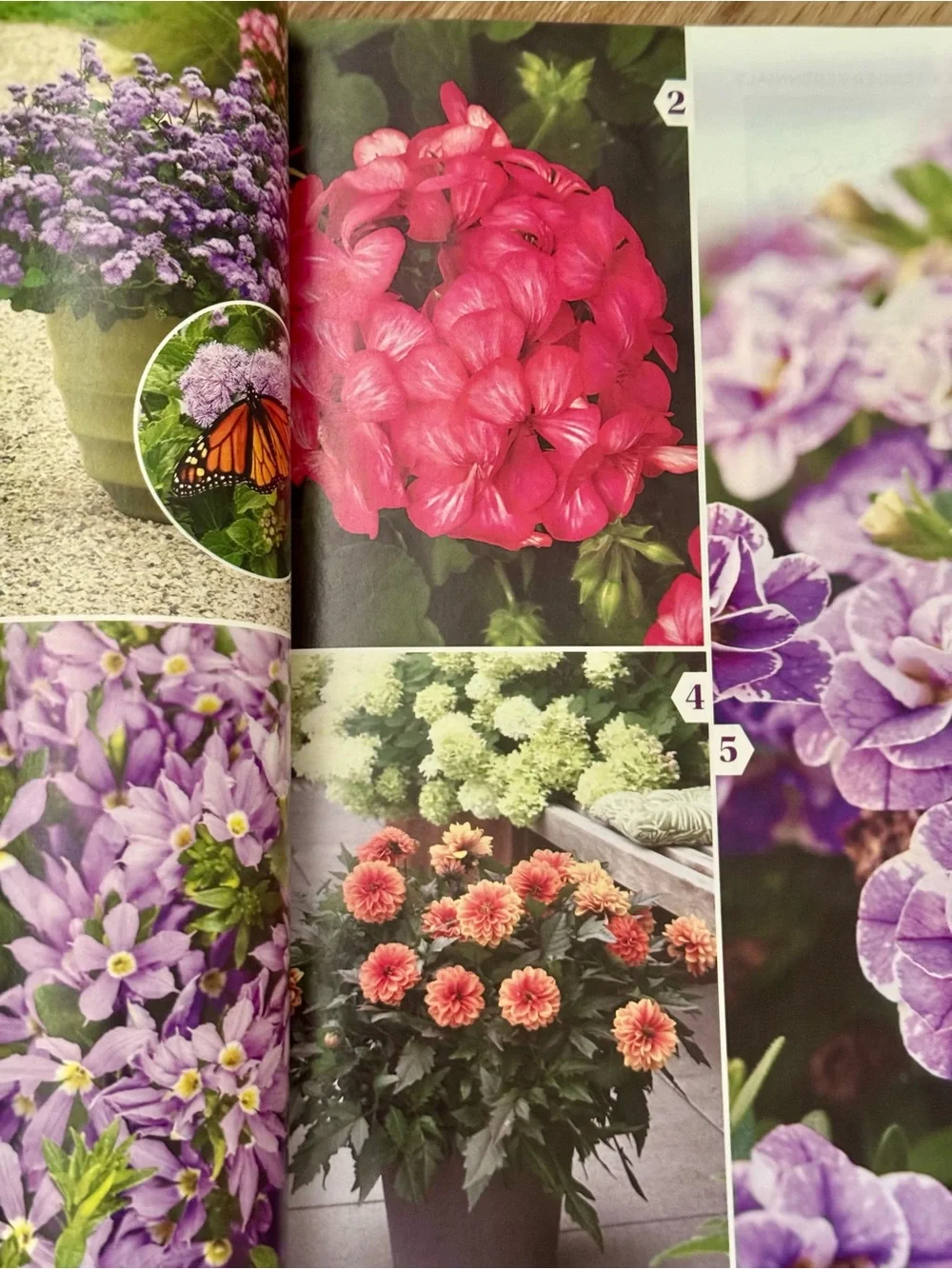 Garden Gate Magazine January/February 2025 Gardening Tips & Best New Plants